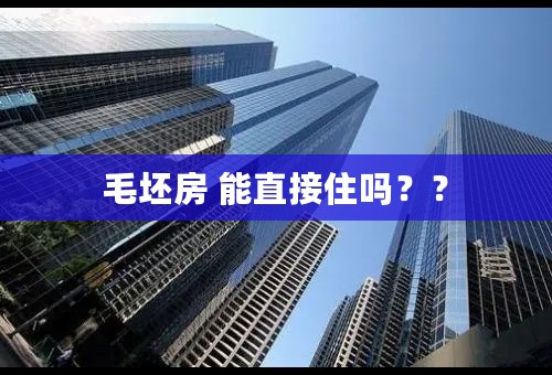 毛坯房 能直接住吗？？
