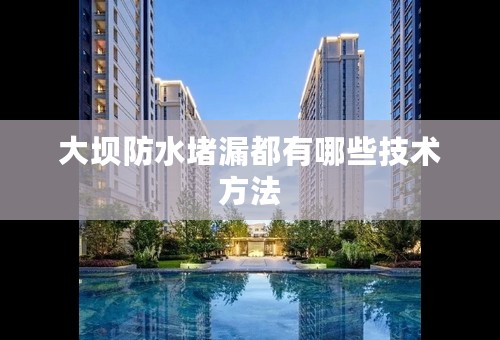 大坝防水堵漏都有哪些技术方法
