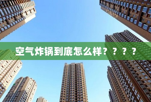 空气炸锅到底怎么样？？？？