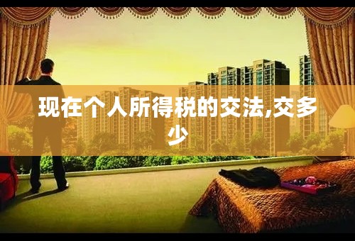 现在个人所得税的交法,交多少