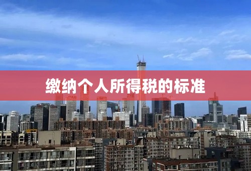 缴纳个人所得税的标准