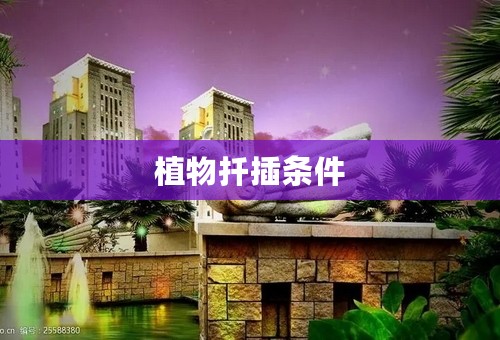 植物扦插条件