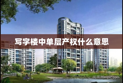 写字楼中单层产权什么意思