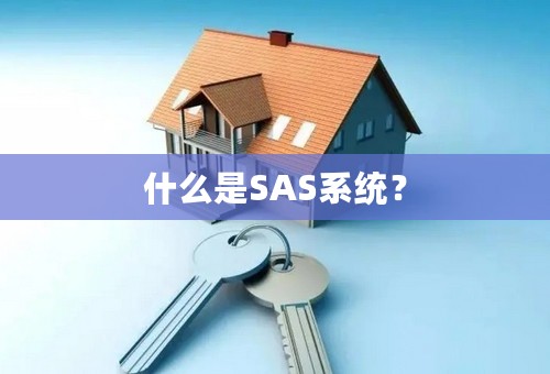 什么是SAS系统？
