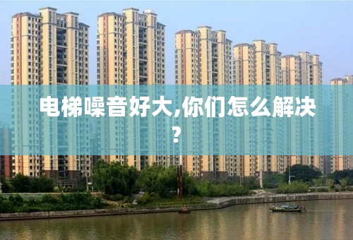 电梯噪音好大,你们怎么解决?