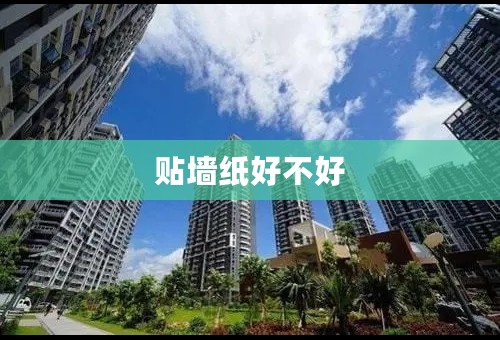 贴墙纸好不好