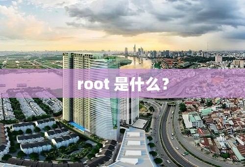 root 是什么？