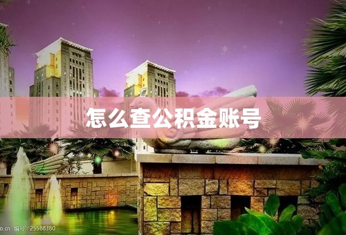 怎么查公积金账号