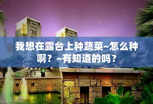 我想在露台上种蔬菜~怎么种啊？~有知道的吗？
