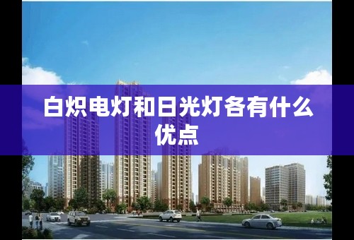 白炽电灯和日光灯各有什么优点