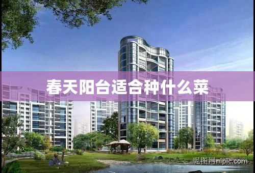春天阳台适合种什么菜