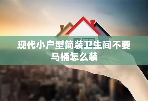 现代小户型简装卫生间不要马桶怎么装