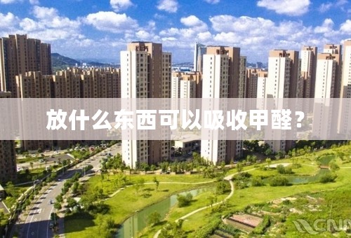 放什么东西可以吸收甲醛？