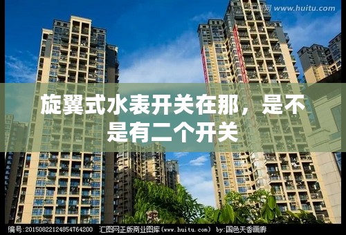 旋翼式水表开关在那，是不是有二个开关