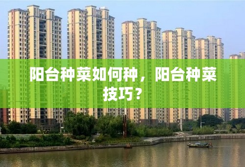 阳台种菜如何种，阳台种菜技巧？