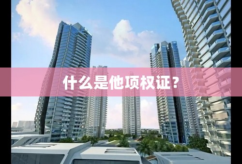 什么是他项权证？