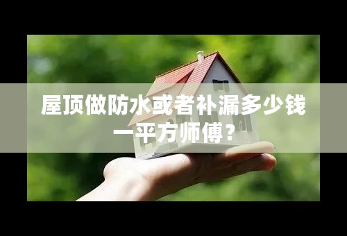 屋顶做防水或者补漏多少钱一平方师傅？