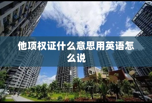 他项权证什么意思用英语怎么说