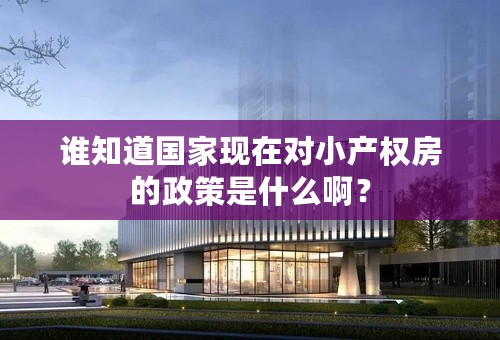 谁知道国家现在对小产权房的政策是什么啊？