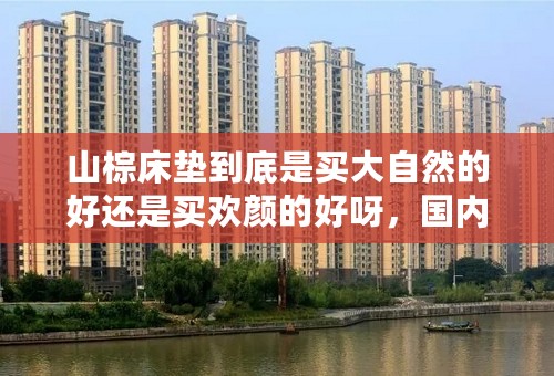 山棕床垫到底是买大自然的好还是买欢颜的好呀，国内还有没有其他的山棕床垫品牌？