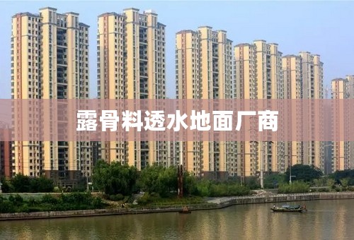 露骨料透水地面厂商