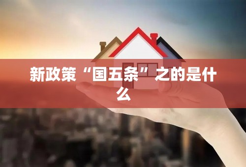 新政策“国五条”之的是什么