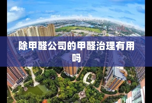 除甲醛公司的甲醛治理有用吗