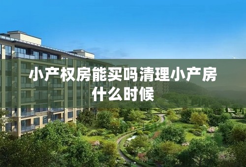 小产权房能买吗清理小产房什么时候
