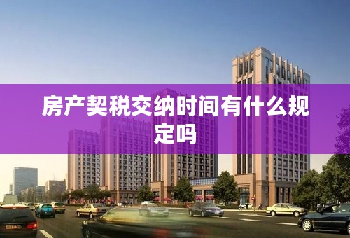 房产契税交纳时间有什么规定吗