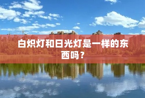白炽灯和日光灯是一样的东西吗？