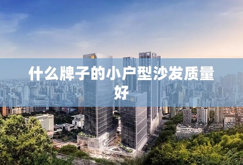 什么牌子的小户型沙发质量好
