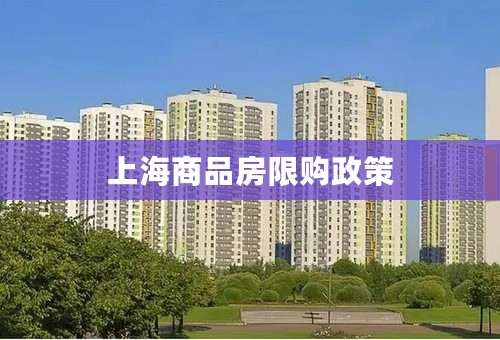 上海商品房限购政策