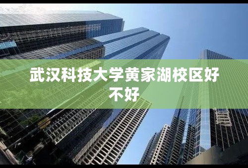 武汉科技大学黄家湖校区好不好