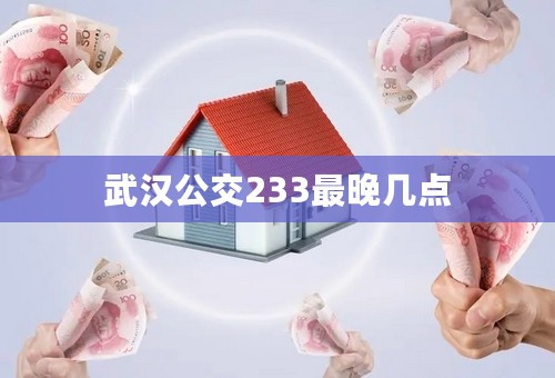 武汉公交233最晚几点