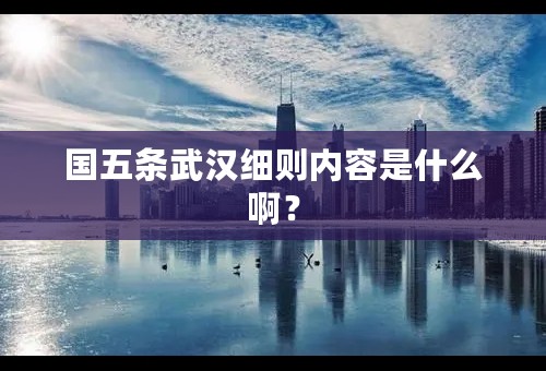 国五条武汉细则内容是什么啊？
