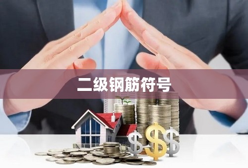 二级钢筋符号