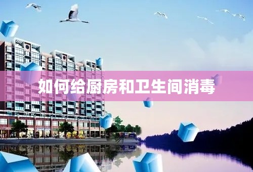 如何给厨房和卫生间消毒