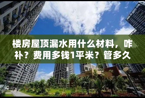 楼房屋顶漏水用什么材料，咋补？费用多钱1平米？管多久？