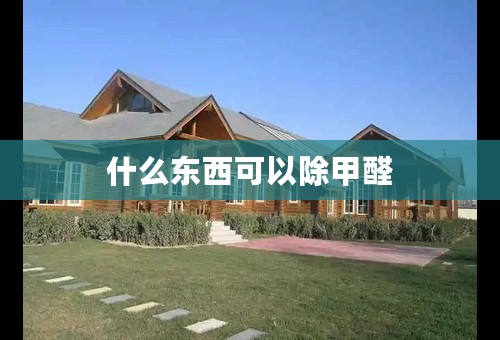 什么东西可以除甲醛