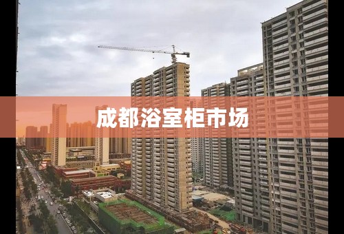 成都浴室柜市场