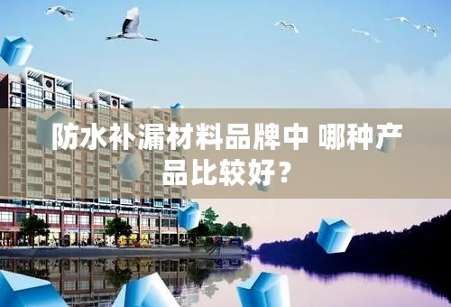 防水补漏材料品牌中 哪种产品比较好？
