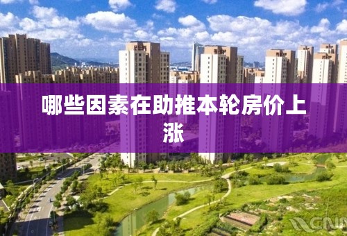 哪些因素在助推本轮房价上涨