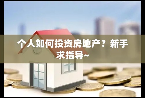 个人如何投资房地产？新手求指导~