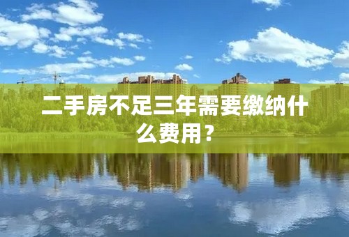 二手房不足三年需要缴纳什么费用？
