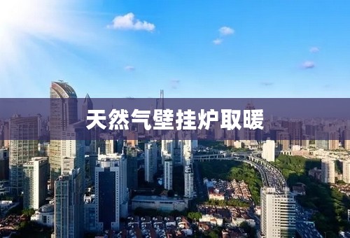 天然气壁挂炉取暖