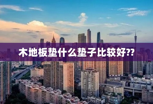 木地板垫什么垫子比较好??