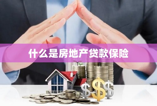 什么是房地产贷款保险