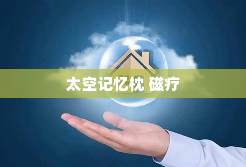 太空记忆枕 磁疗