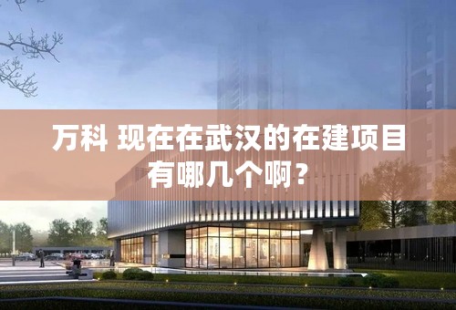 万科 现在在武汉的在建项目有哪几个啊？