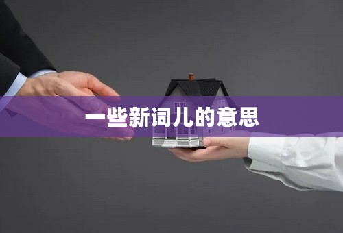 一些新词儿的意思